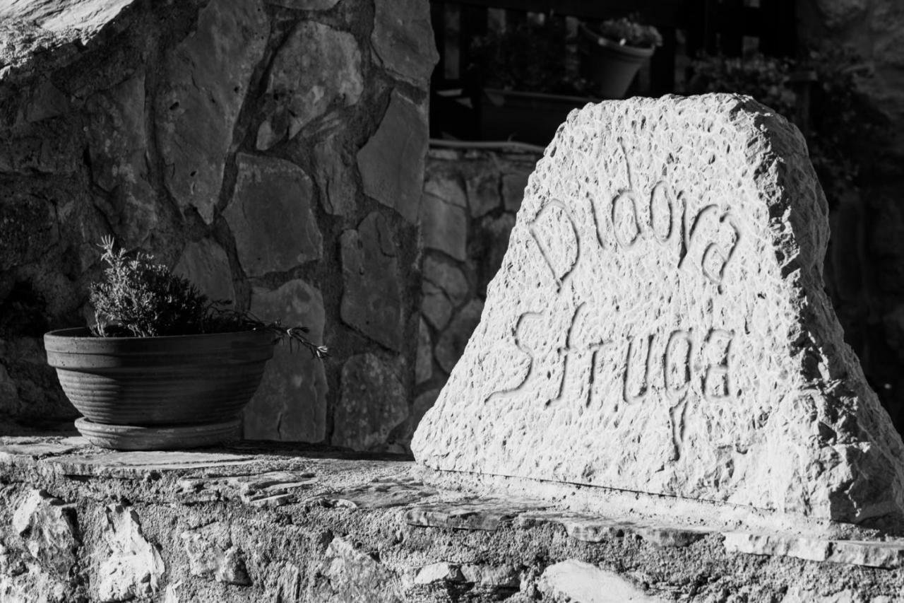 Villa Didova Struga Zmijavci Экстерьер фото